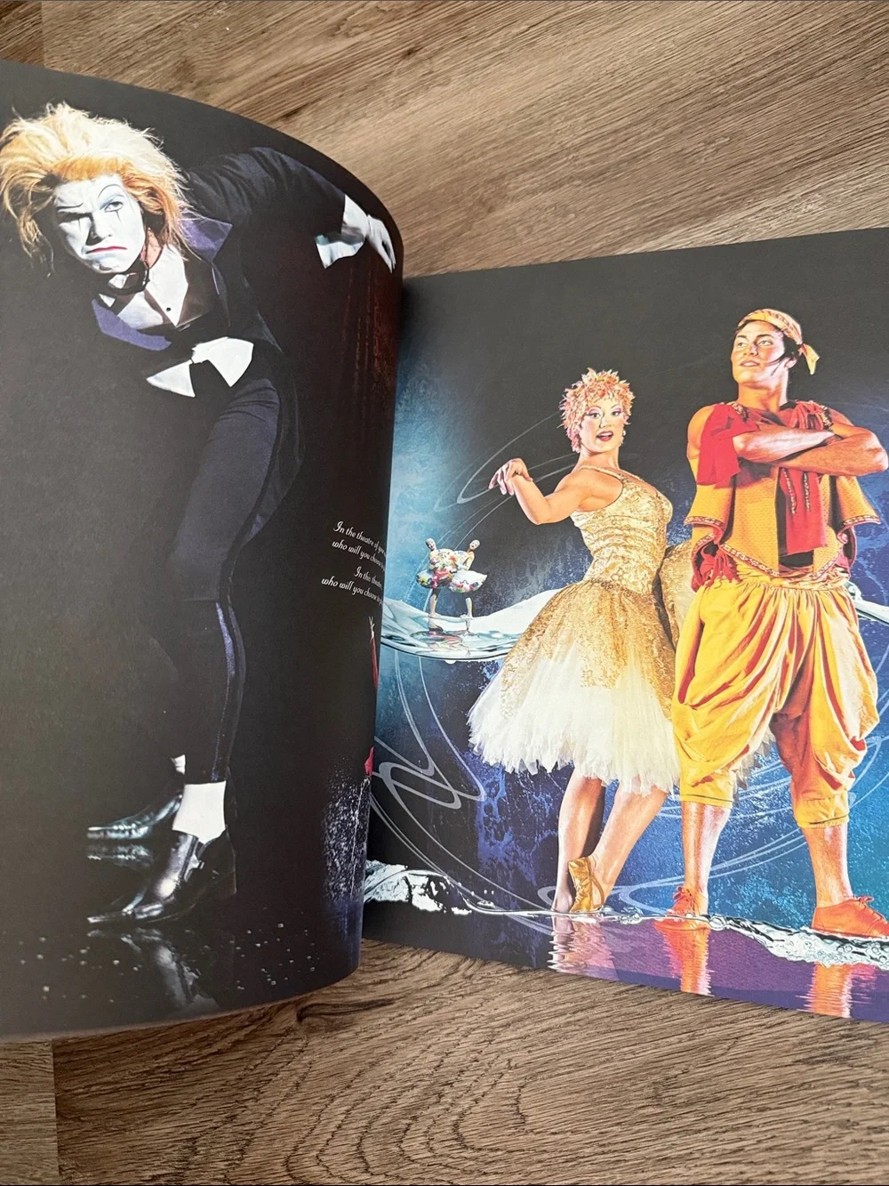 Cirque du Soleil 